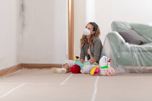 Reliable Mold Testing contractor in Bowie, MD by WQB Mold Removal